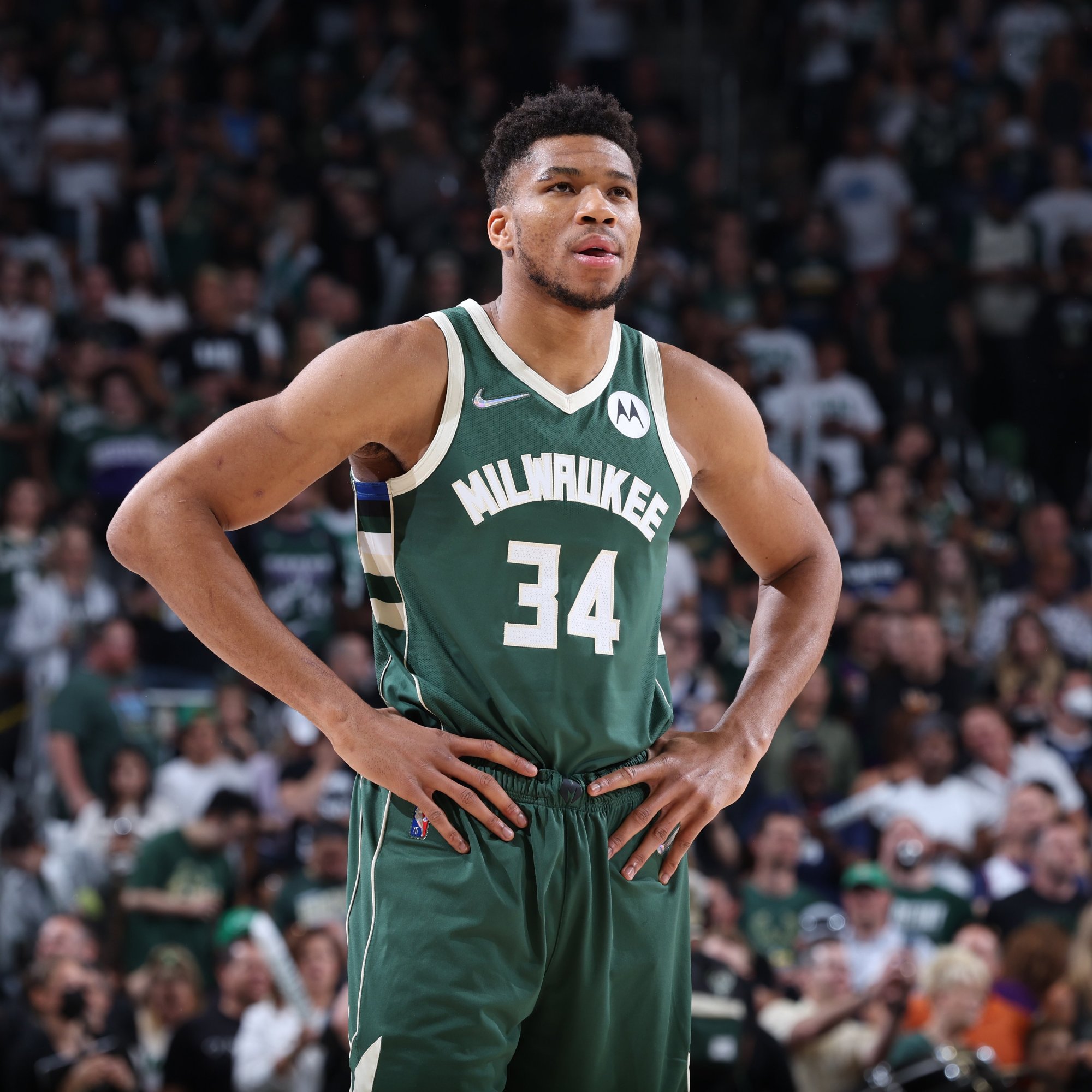 本地的政治 本地的政治